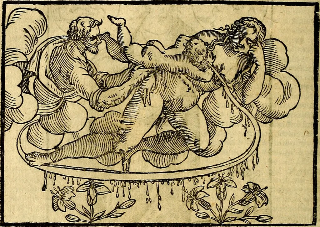 An illustration from Natalis Comitis Mythologiae, sive, Explicationis fabularum libri decem : in quibus omnia prope naturalis et moralis philosophiae dogmata in veterum fabulis contenta fuisse perspicuè demonstratur ... : accessit G. Linocerii Musarum mytholgia, & anonymi obseuationum in totam de dijs gentium narrationem libellus : adiectæ sunt ... editioni elegantissimæ deorum imagines, & eruditissimæ M. Antonij Tritonij Vtinensis .., 1637, leaf 115