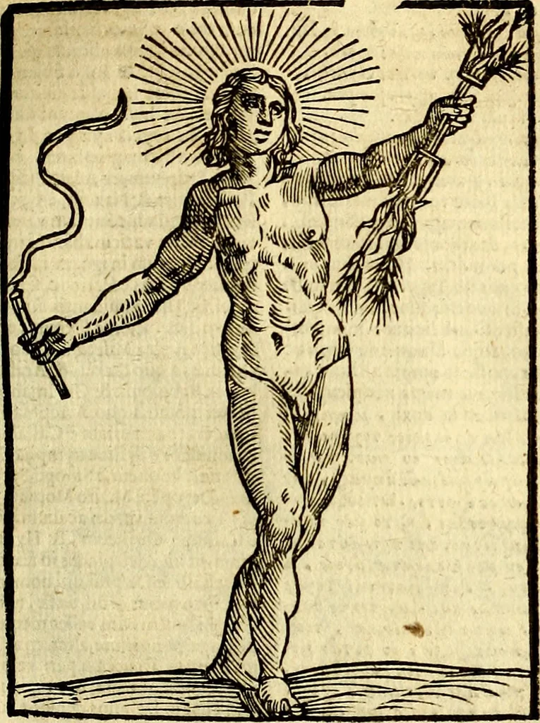An illustration from Natalis Comitis Mythologiae, sive, Explicationis fabularum libri decem : in quibus omnia prope naturalis et moralis philosophiae dogmata in veterum fabulis contenta fuisse perspicuè demonstratur ... : accessit G. Linocerii Musarum mytholgia, & anonymi obseuationum in totam de dijs gentium narrationem libellus : adiectæ sunt ... editioni elegantissimæ deorum imagines, & eruditissimæ M. Antonij Tritonij Vtinensis .., 1637, leaf 226
