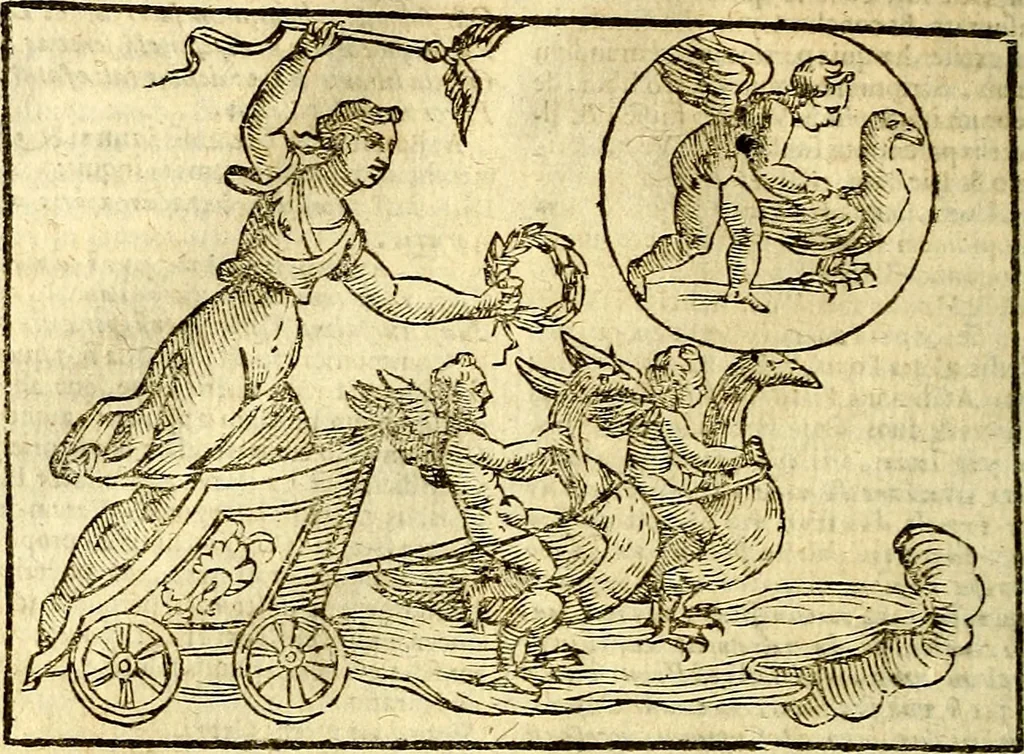 An illustration from Natalis Comitis Mythologiae, sive, Explicationis fabularum libri decem : in quibus omnia prope naturalis et moralis philosophiae dogmata in veterum fabulis contenta fuisse perspicuè demonstratur ... : accessit G. Linocerii Musarum mytholgia, & anonymi obseuationum in totam de dijs gentium narrationem libellus : adiectæ sunt ... editioni elegantissimæ deorum imagines, & eruditissimæ M. Antonij Tritonij Vtinensis .., 1637, leaf 251