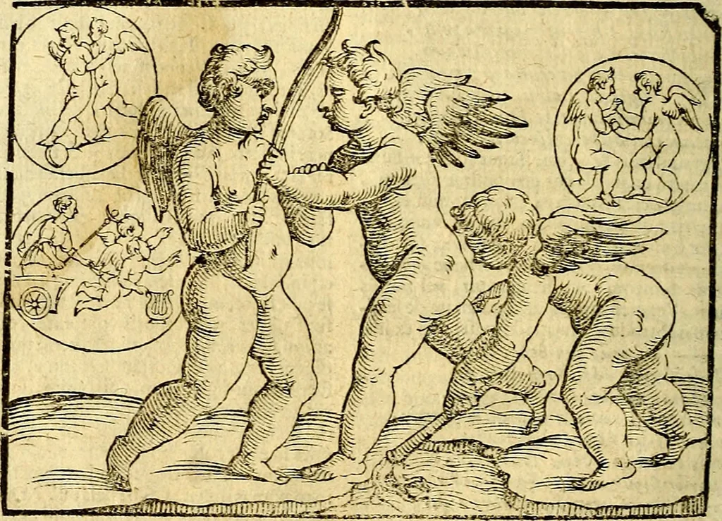 An illustration from Natalis Comitis Mythologiae, sive, Explicationis fabularum libri decem : in quibus omnia prope naturalis et moralis philosophiae dogmata in veterum fabulis contenta fuisse perspicuè demonstratur ... : accessit G. Linocerii Musarum mytholgia, & anonymi obseuationum in totam de dijs gentium narrationem libellus : adiectæ sunt ... editioni elegantissimæ deorum imagines, & eruditissimæ M. Antonij Tritonij Vtinensis .., 1637, leaf 261