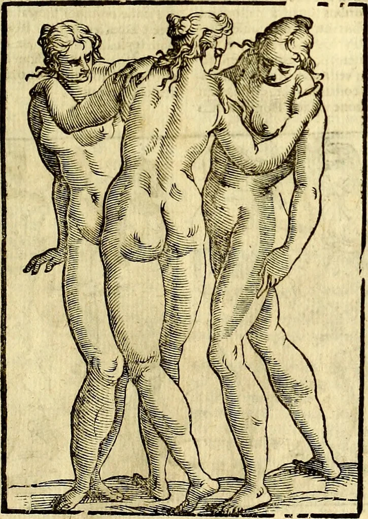 An illustration from Natalis Comitis Mythologiae, sive, Explicationis fabularum libri decem : in quibus omnia prope naturalis et moralis philosophiae dogmata in veterum fabulis contenta fuisse perspicuè demonstratur ... : accessit G. Linocerii Musarum mytholgia, & anonymi obseuationum in totam de dijs gentium narrationem libellus : adiectæ sunt ... editioni elegantissimæ deorum imagines, & eruditissimæ M. Antonij Tritonij Vtinensis .., 1637, leaf 268
