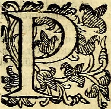 An illustration from Natalis Comitis Mythologiae, sive, Explicationis fabularum libri decem : in quibus omnia prope naturalis et moralis philosophiae dogmata in veterum fabulis contenta fuisse perspicuè demonstratur ... : accessit G. Linocerii Musarum mytholgia, & anonymi obseuationum in totam de dijs gentium narrationem libellus : adiectæ sunt ... editioni elegantissimæ deorum imagines, & eruditissimæ M. Antonij Tritonij Vtinensis .., 1637, leaf 273