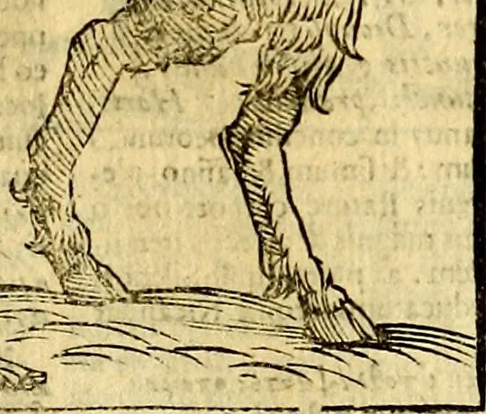 An illustration from Natalis Comitis Mythologiae, sive, Explicationis fabularum libri decem : in quibus omnia prope naturalis et moralis philosophiae dogmata in veterum fabulis contenta fuisse perspicuè demonstratur ... : accessit G. Linocerii Musarum mytholgia, & anonymi obseuationum in totam de dijs gentium narrationem libellus : adiectæ sunt ... editioni elegantissimæ deorum imagines, & eruditissimæ M. Antonij Tritonij Vtinensis .., 1637, leaf 296