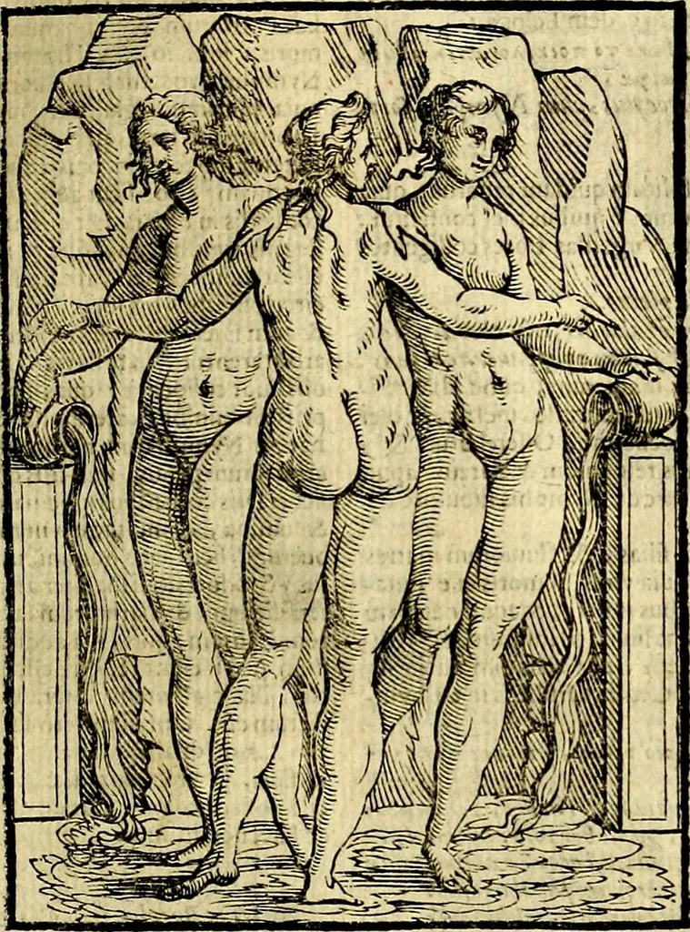 An illustration from Natalis Comitis Mythologiae, sive, Explicationis fabularum libri decem : in quibus omnia prope naturalis et moralis philosophiae dogmata in veterum fabulis contenta fuisse perspicuè demonstratur ... : accessit G. Linocerii Musarum mytholgia, & anonymi obseuationum in totam de dijs gentium narrationem libellus : adiectæ sunt ... editioni elegantissimæ deorum imagines, & eruditissimæ M. Antonij Tritonij Vtinensis .., 1637, leaf 302