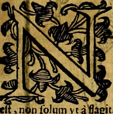 An illustration from Natalis Comitis Mythologiae, sive, Explicationis fabularum libri decem : in quibus omnia prope naturalis et moralis philosophiae dogmata in veterum fabulis contenta fuisse perspicuè demonstratur ... : accessit G. Linocerii Musarum mytholgia, & anonymi obseuationum in totam de dijs gentium narrationem libellus : adiectæ sunt ... editioni elegantissimæ deorum imagines, & eruditissimæ M. Antonij Tritonij Vtinensis .., 1637, leaf 402