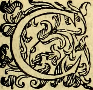 An illustration from Natalis Comitis Mythologiae, sive, Explicationis fabularum libri decem : in quibus omnia prope naturalis et moralis philosophiae dogmata in veterum fabulis contenta fuisse perspicuè demonstratur ... : accessit G. Linocerii Musarum mytholgia, & anonymi obseuationum in totam de dijs gentium narrationem libellus : adiectæ sunt ... editioni elegantissimæ deorum imagines, & eruditissimæ M. Antonij Tritonij Vtinensis .., 1637, leaf 48