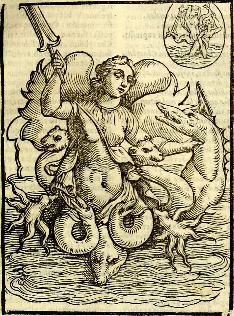 An illustration from Natalis Comitis Mythologiae, sive, Explicationis fabularum libri decem : in quibus omnia prope naturalis et moralis philosophiae dogmata in veterum fabulis contenta fuisse perspicuè demonstratur ... : accessit G. Linocerii Musarum mytholgia, & anonymi obseuationum in totam de dijs gentium narrationem libellus : adiectæ sunt ... editioni elegantissimæ deorum imagines, & eruditissimæ M. Antonij Tritonij Vtinensis .., 1637, leaf 502