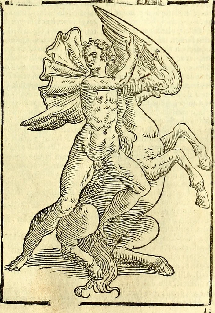 An illustration from Natalis Comitis Mythologiae, sive, Explicationis fabularum libri decem : in quibus omnia prope naturalis et moralis philosophiae dogmata in veterum fabulis contenta fuisse perspicuè demonstratur ... : accessit G. Linocerii Musarum mytholgia, & anonymi obseuationum in totam de dijs gentium narrationem libellus : adiectæ sunt ... editioni elegantissimæ deorum imagines, & eruditissimæ M. Antonij Tritonij Vtinensis .., 1637, leaf 546