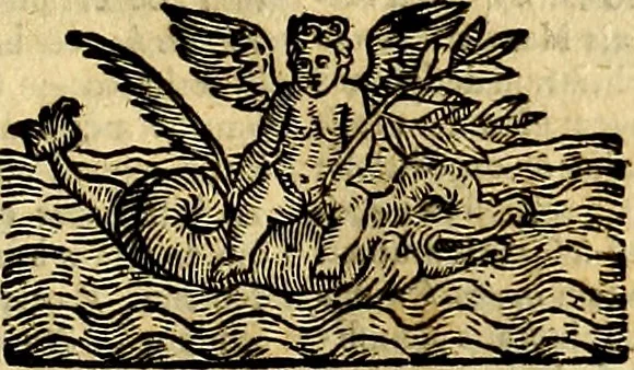 An illustration from Natalis Comitis Mythologiae, sive, Explicationis fabularum libri decem : in quibus omnia prope naturalis et moralis philosophiae dogmata in veterum fabulis contenta fuisse perspicuè demonstratur ... : accessit G. Linocerii Musarum mytholgia, & anonymi obseuationum in totam de dijs gentium narrationem libellus : adiectæ sunt ... editioni elegantissimæ deorum imagines, & eruditissimæ M. Antonij Tritonij Vtinensis .., 1637, leaf 634