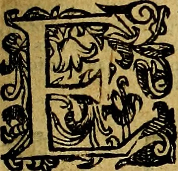 An illustration from Natalis Comitis Mythologiae, sive, Explicationis fabularum libri decem : in quibus omnia prope naturalis et moralis philosophiae dogmata in veterum fabulis contenta fuisse perspicuè demonstratur ... : accessit G. Linocerii Musarum mytholgia, & anonymi obseuationum in totam de dijs gentium narrationem libellus : adiectæ sunt ... editioni elegantissimæ deorum imagines, & eruditissimæ M. Antonij Tritonij Vtinensis .., 1637, leaf 82