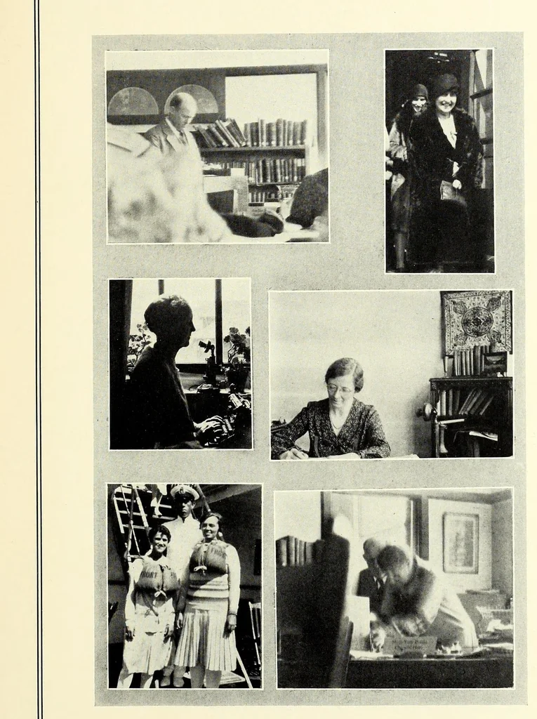 An illustration from The National, 1930, leaf 155