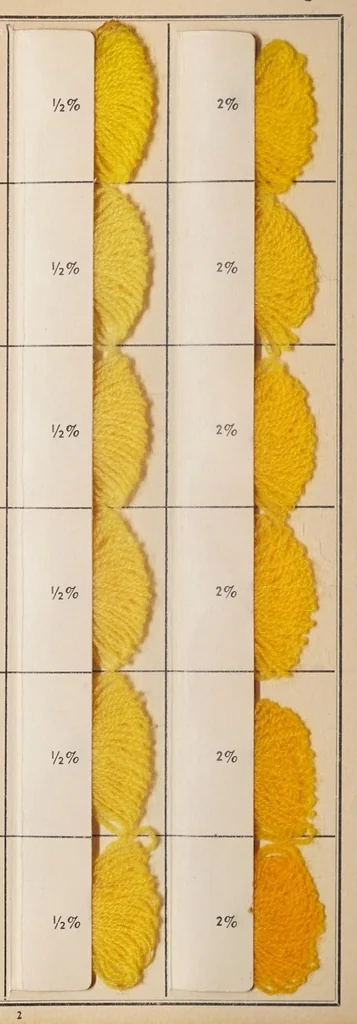 An illustration from National acid dyes on wool / manufactured by National Aniline & Chemical Co., Inc., 1917, leaf 14