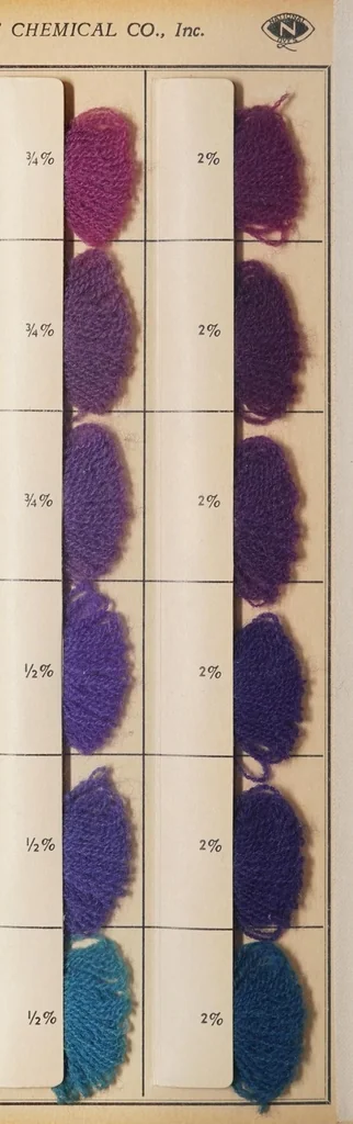 An illustration from National acid dyes on wool / manufactured by National Aniline & Chemical Co., Inc., 1917, leaf 24