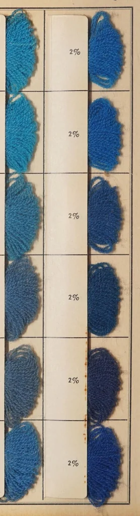 An illustration from National acid dyes on wool / manufactured by National Aniline & Chemical Co., Inc., 1917, leaf 26