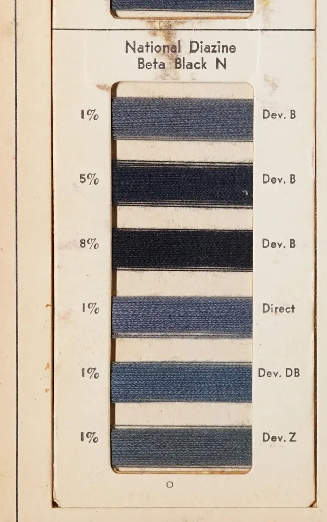 An illustration from National developed dyes for cotton yarn / manufactured by National Aniline & Chemical Company, Inc., 1917, leaf 20