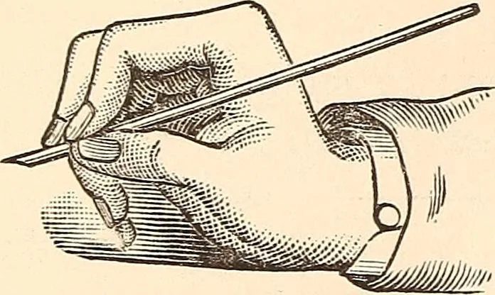 An illustration from The national encyclopædia of business and social forms, embracing the laws of etiquette and good society, 1879, leaf 173