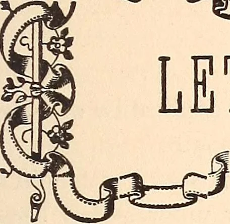 An illustration from The national encyclopædia of business and social forms, embracing the laws of etiquette and good society, 1879, leaf 222