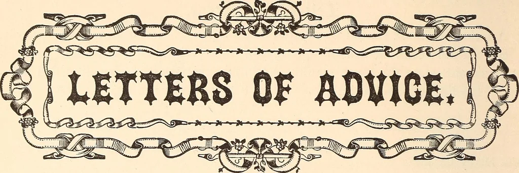 An illustration from The national encyclopædia of business and social forms, embracing the laws of etiquette and good society, 1879, leaf 229