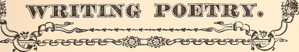 An illustration from The national encyclopædia of business and social forms, embracing the laws of etiquette and good society, 1879, leaf 276