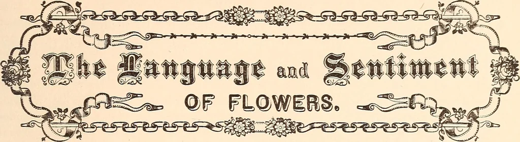 An illustration from The national encyclopædia of business and social forms, embracing the laws of etiquette and good society, 1879, leaf 386