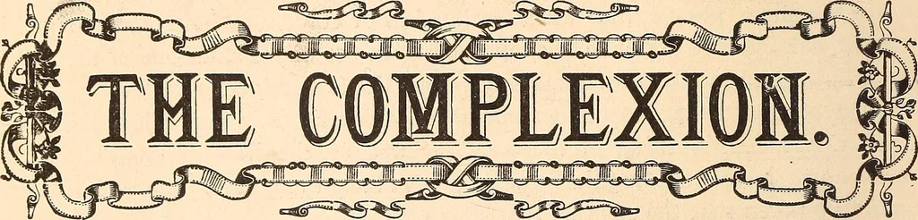 An illustration from The national encyclopædia of business and social forms, embracing the laws of etiquette and good society, 1879, leaf 43