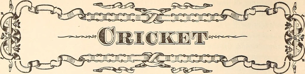 An illustration from The national encyclopædia of business and social forms, embracing the laws of etiquette and good society, 1879, leaf 567