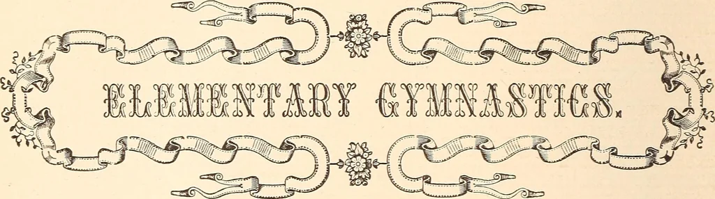 An illustration from The national encyclopædia of business and social forms, embracing the laws of etiquette and good society, 1879, leaf 667