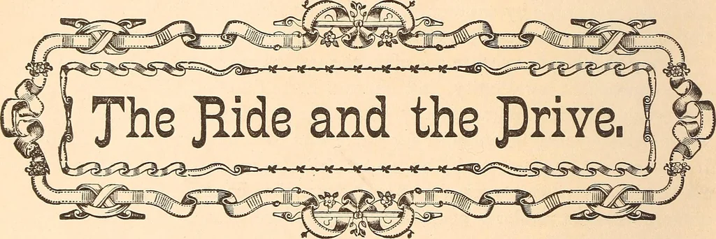 An illustration from The national encyclopædia of business and social forms, embracing the laws of etiquette and good society, 1879, leaf 75