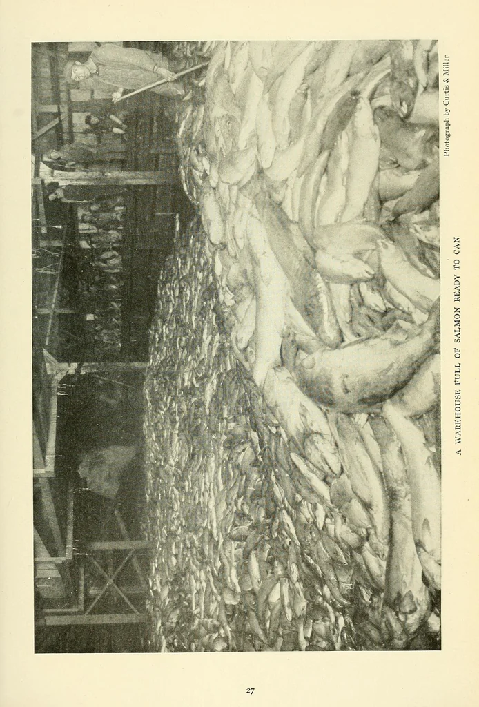 An illustration from The National geographic magazine, 1888, leaf 39