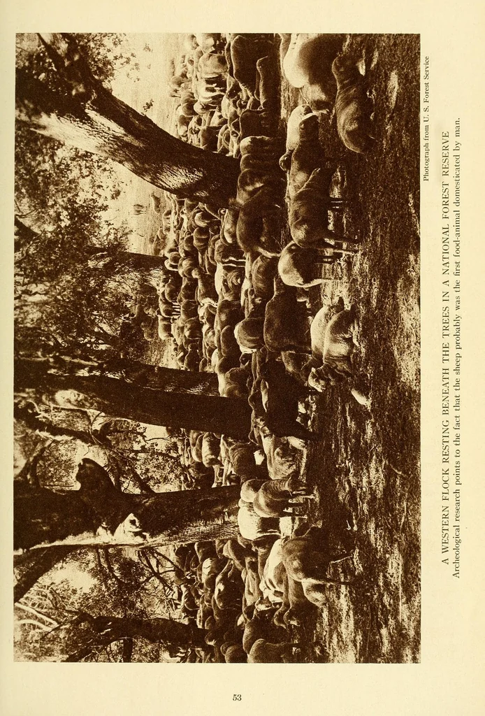 An illustration from The National geographic magazine, 1888, leaf 65
