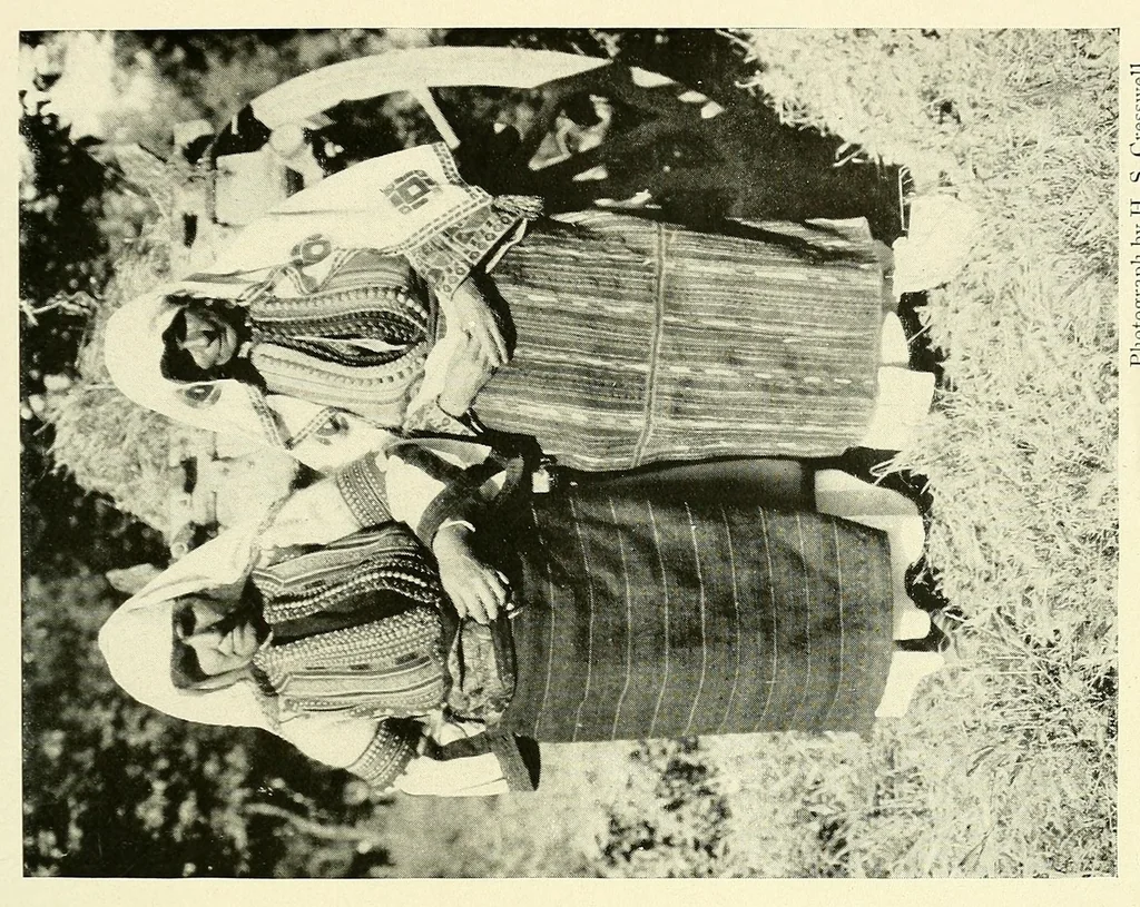 An illustration from The National geographic magazine, 1888, leaf 239