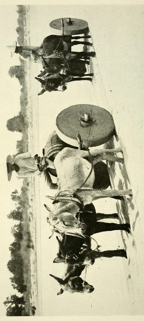 An illustration from The National geographic magazine, 1888, leaf 62