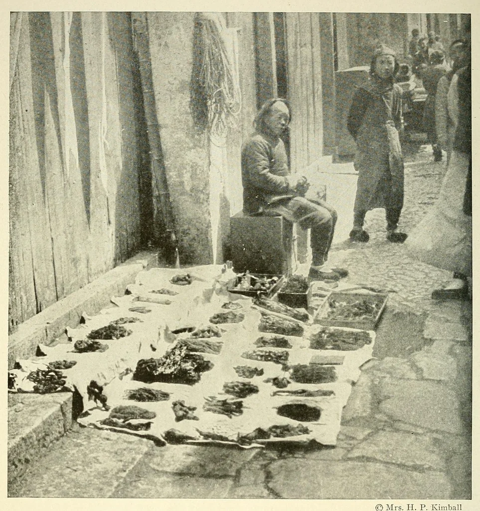 An illustration from The National geographic magazine, 1888, leaf 238