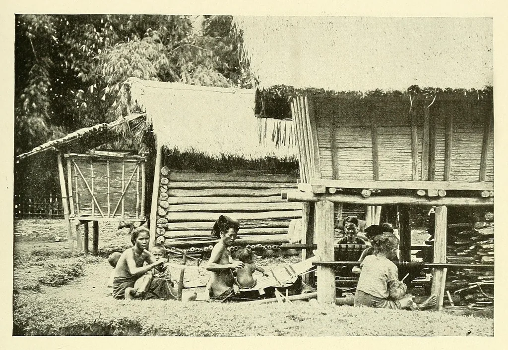 An illustration from The National geographic magazine, 1888, leaf 113