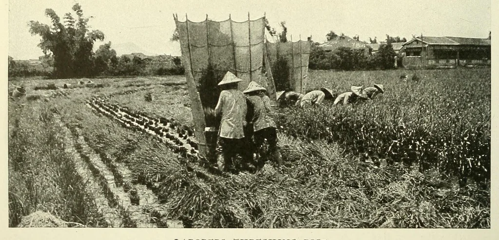 An illustration from The National geographic magazine, 1888, leaf 284