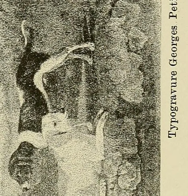 An illustration from The National Museum of the Louvre, 1900, leaf 351