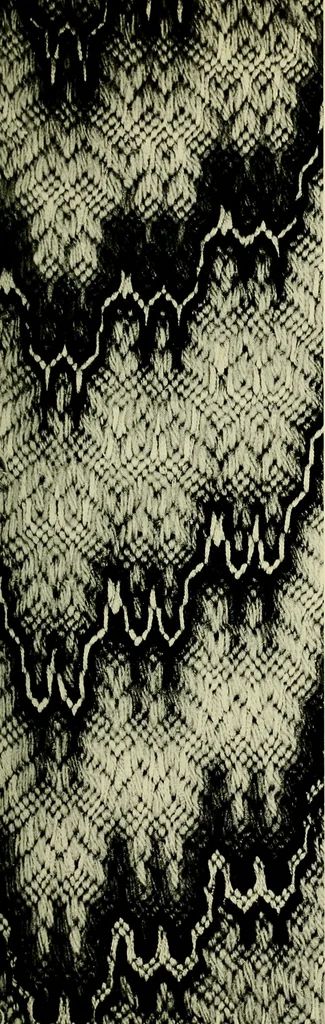 An illustration from A national museum of design, 1900, leaf 10