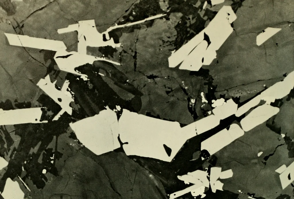 An illustration from A national museum of design, 1900, leaf 7