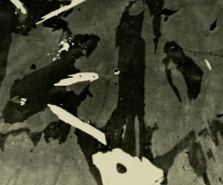 An illustration from A national museum of design, 1900, leaf 7