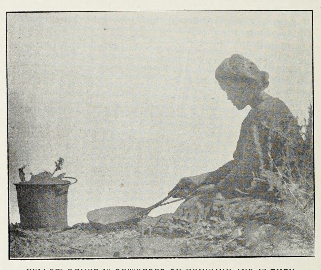 An illustration from Native Navajo dyes, 1903, leaf 12