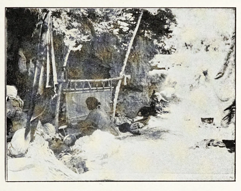 An illustration from Native Navajo dyes, 1903, leaf 5