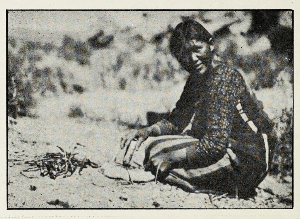An illustration from Native Navajo dyes, 1903, leaf 6