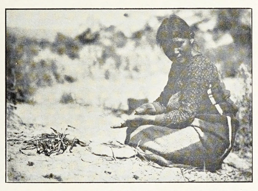 An illustration from Native Navajo dyes, 1903, leaf 7
