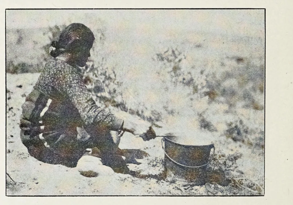 An illustration from Native Navajo dyes, 1903, leaf 8