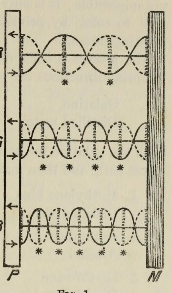 An illustration from Natural-color photography, 1906, leaf 21