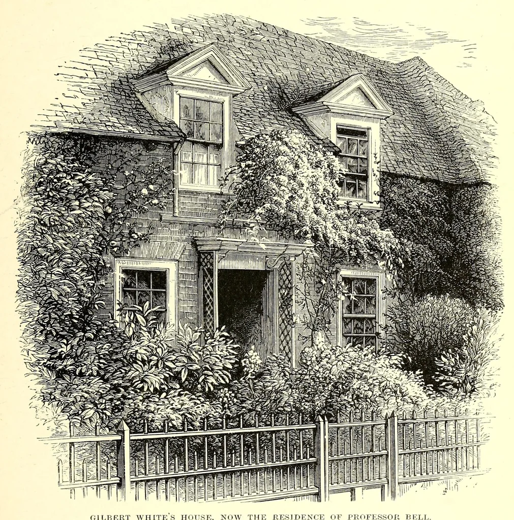 An illustration from Natural history and antiquities of Selborne, 1875, leaf 59