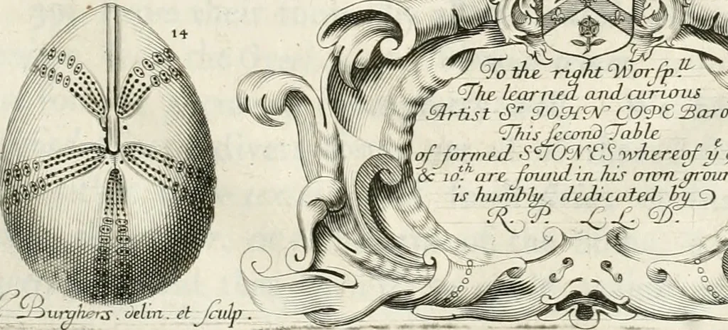 An illustration from The natural history of Oxford-shire : being an essay toward the natural history of England, 1677, leaf 116