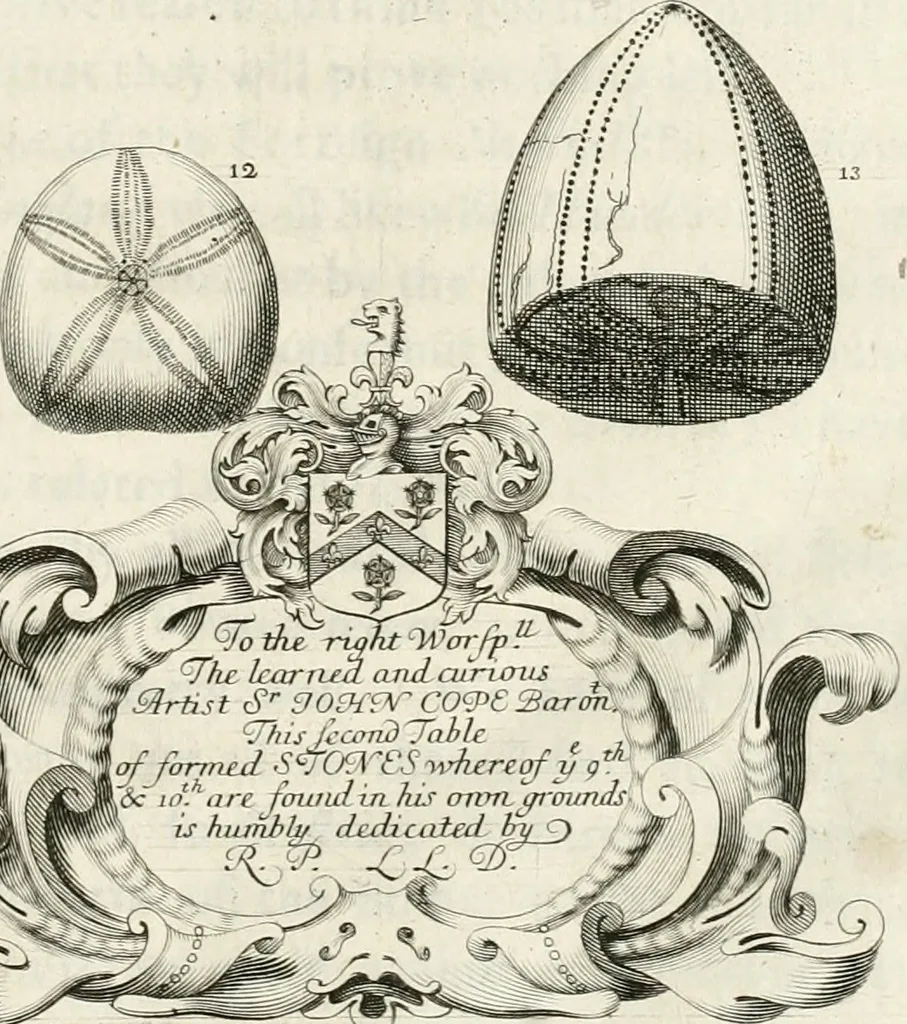 An illustration from The natural history of Oxford-shire : being an essay toward the natural history of England, 1677, leaf 116