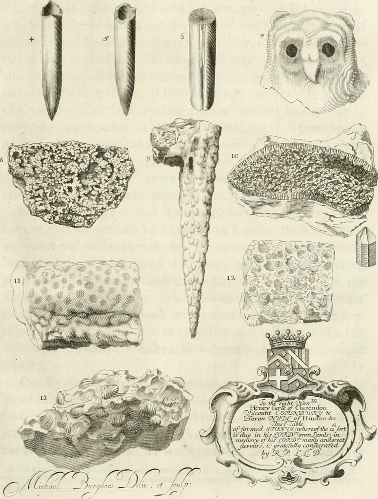 An illustration from The natural history of Oxford-shire : being an essay toward the natural history of England, 1677, leaf 126