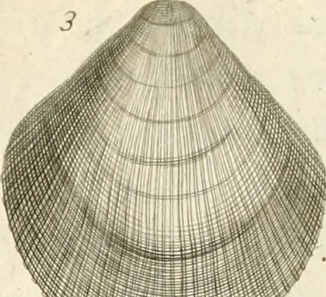 An illustration from The natural history of Oxford-shire : being an essay toward the natural history of England, 1677, leaf 133